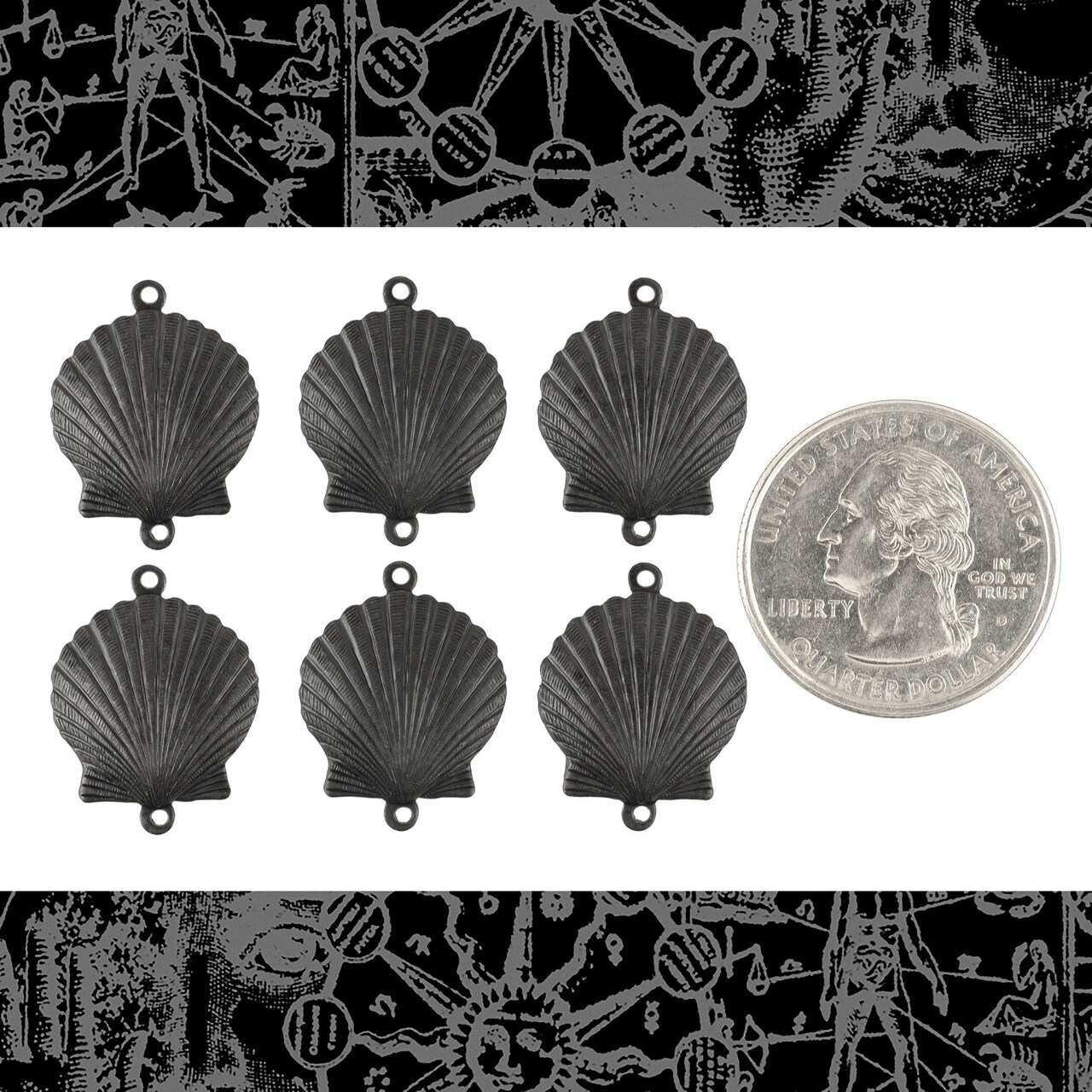 Black Plated Brass Medium Sized Sea Shell Two Ring Connectors - Set of Six - XXX - BB-2C82